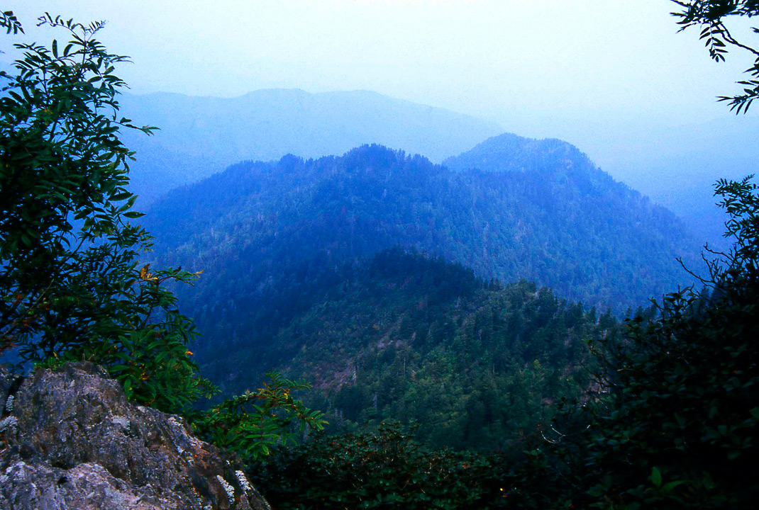 PHOTO GALLERY SEVENTEEN SAVAGE GULFCLINGMAN'S DOMEAPP TRAIL.